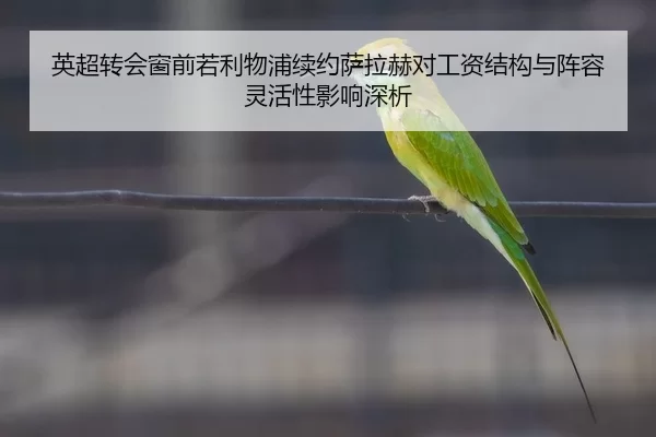 英超转会窗前若利物浦续约萨拉赫对工资结构与阵容灵活性影响深析