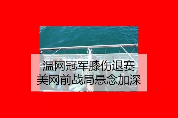 温网冠军膝伤退赛 美网前战局悬念加深